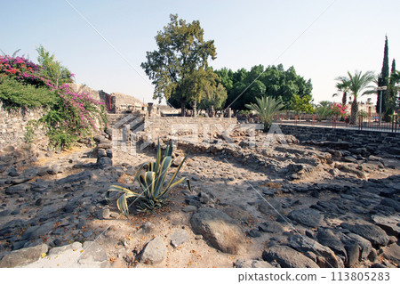 Ruins of biblical era village in Capernaum on the Sea of Galilee, Israel 113805283