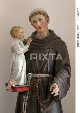 Saint Anthony of Padua 113805300
