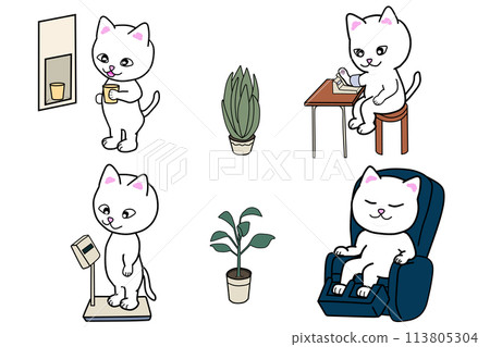 洗完澡後，貓咪在更衣室裡保養身體 113805304