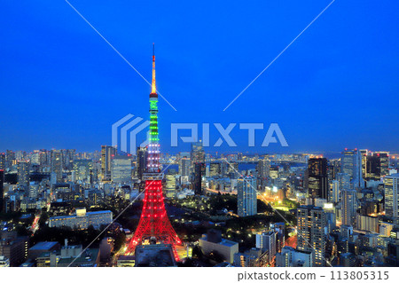 Illuminated Tokyo Tower and the city center at night 113805315