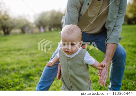 First steps for little toddler. Father supporting baby while walking in soft spring grass on meadow. Father's day concept. First steps for little toddler. Father supporting baby while walking in soft spring grass on meadow. Father's day concept. 113805444