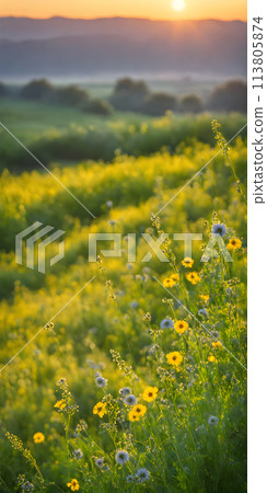 A summer landscape with a blazing sun casting long shadows, a minimalistic composition with few elements A summer landscape with a blazing sun casting long shadows, a minimalistic composition with few elements 113805874