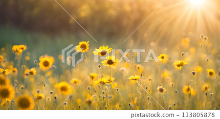 Sunny days warmth captured in a round blur embodying the essence of smooth summer Sunny days warmth captured in a round blur embodying the essence of smooth summer 113805878