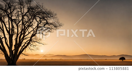 Landscape embracing sunny minimalism Landscape embracing sunny minimalism 113805881