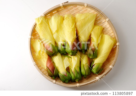 Okra's Flower 113805897