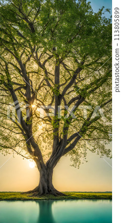 Bright sunlight over serene landscape, minimalistic scenery with single tree Bright sunlight over serene landscape, minimalistic scenery with single tree 113805899