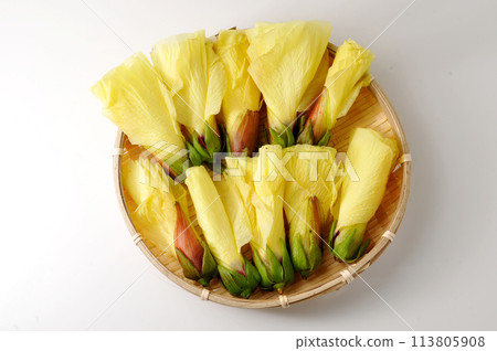 Okra's Flower 113805908