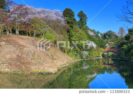 [富山縣] 晴天的高岡城公園和盛開的櫻花（朝陽橋） 113806323