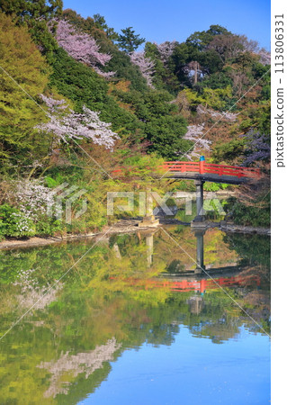 [Toyama Prefecture] Takaoka Castle Park on a sunny day and cherry blossoms in full bloom (Choyo Bridge) 113806331