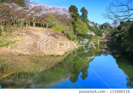 [Toyama Prefecture] Takaoka Castle Park on a sunny day and cherry blossoms in full bloom (Choyo Bridge) 113806338
