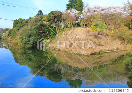 【富山縣】晴天的高岡城公園,櫻花盛開 【富山縣】晴天的高岡城公園,櫻花盛開 113806345