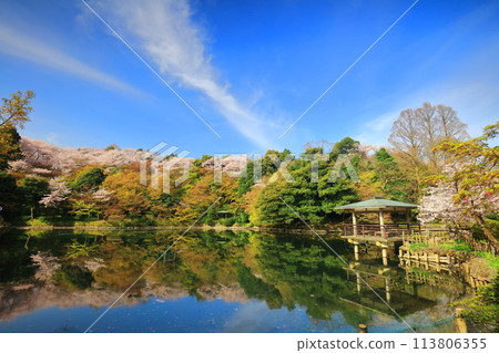 [Toyama Prefecture] Takaoka Castle Park on a sunny day and cherry blossoms in full bloom (Kita Inner Moat) 113806355