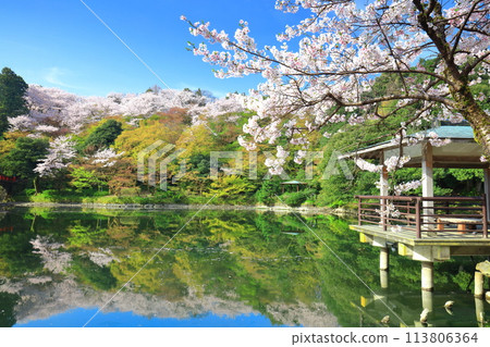 [富山縣] 晴天櫻花盛開的高岡城公園（北內護城河） 113806364