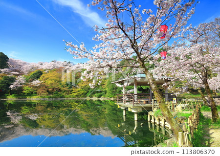[富山縣] 晴天櫻花盛開的高岡城公園（北內護城河） 113806370