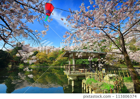 [富山縣] 晴天櫻花盛開的高岡城公園（北內護城河） 113806374