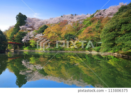 [富山縣] 晴天櫻花盛開的高岡城公園（北內護城河） 113806375