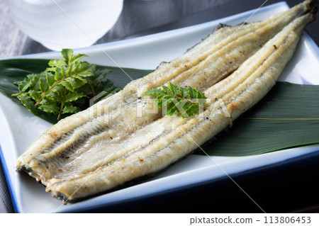 White grilled eel White grilled eel 113806453