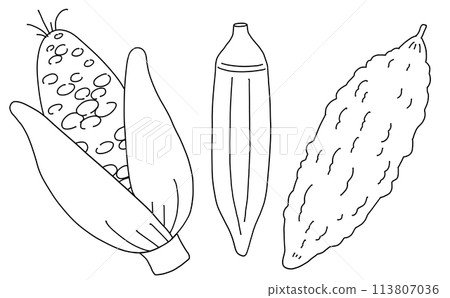 Loose and simple summer vegetable set 1 Line drawing 113807036