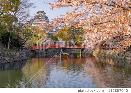 Himeji Castle and cherry blossoms in Himeji, Hyogo Prefecture. A rowboat heading towards the red bridge. Himeji Castle and cherry blossoms in Himeji, Hyogo Prefecture. A rowboat heading towards the red bridge. 113807040