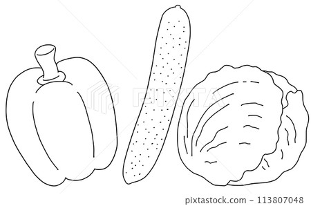 Loose and simple summer vegetable set 2 Line drawing Loose and simple summer vegetable set 2 Line drawing 113807048