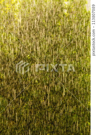 Rainy outside window green background texture. 113807089