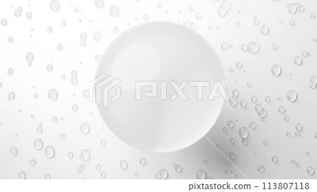 美麗的透明球體在白色背景上與水滴。 3D（水平） 113807118
