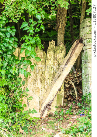 Rustic old wooden gate outdoor 113807127