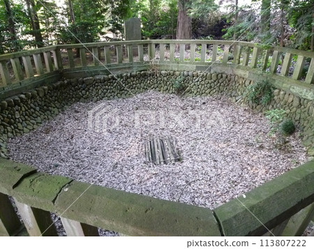 堀金神社(埼玉縣狹山市) 堀金神社(埼玉縣狹山市) 113807222