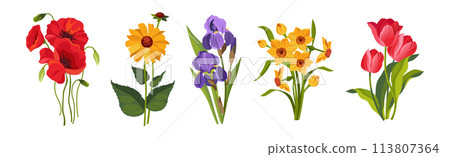 Blooming Flower on Green Stem as Garden Botany Vector Set 113807364