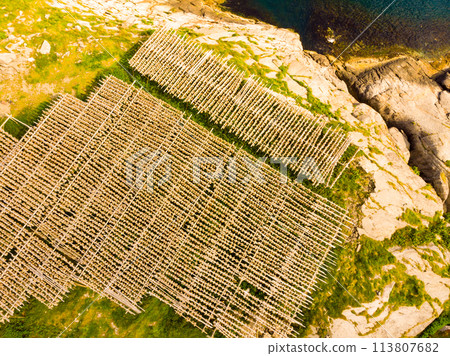 Cod stockfish drying on racks, Lofoten islands Norway 113807682