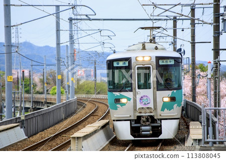 Aichi Loop Line 2000 series train running with cherry blossoms in full bloom in the background 113808045
