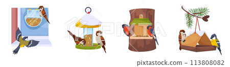 Feeders with birds. Sparrows, tits and bullfinches peck at grain. Different birdhouse shapes hanging containers and boxes with food. Animal shelters. Park birdwatching. Recent vector set 113808082