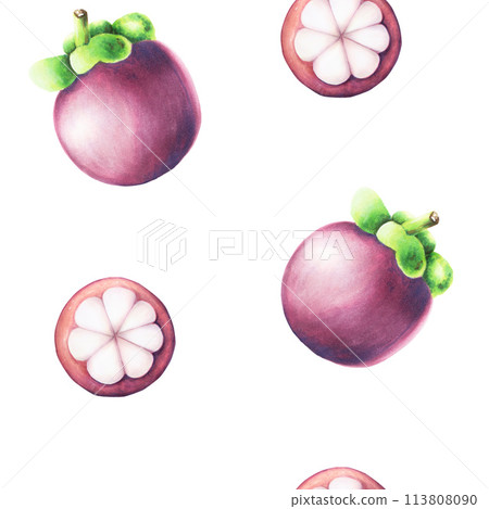 Purple mangosteen seamless pattern. Tropical watercolor fruit illustration isolated on background. For designers, spa decoration, postcards, wedding, greetings, wallpapers, wrapping paper Purple mangosteen seamless pattern. Tropical watercolor fruit illustration isolated on background. For designers, spa decoration, postcards, wedding, greetings, wallpapers, wrapping paper 113808090
