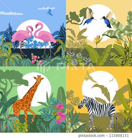 Hand drawn flat exotic flora and fauna square illustration set with wild animals and tropical plants 113808151
