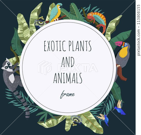 Hand drawn flat exotic flora and fauna round frame background with wild animals and tropical plants 113808155