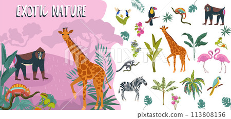 Hand drawn flat exotic flora and fauna icon illustration collection with wild animals and tropical plants 113808156