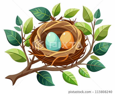 Nest with eggs and leaves on a white background. Vector illustration. Nest with eggs and leaves on a white background. Vector illustration. 113808240