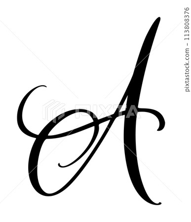 Vector calligraphy hand drawn letter A. Script font icon. Handwritten brush style 113808376