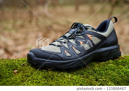 Close Up View of Hiking Boots on Moss Covered Forest Floor 113808487