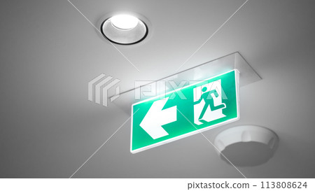 Emergency exit sign or fire exit sign Emergency exit sign or fire exit sign 113808624