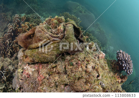 Abandoned plastic bag cover the coral reef 113808633
