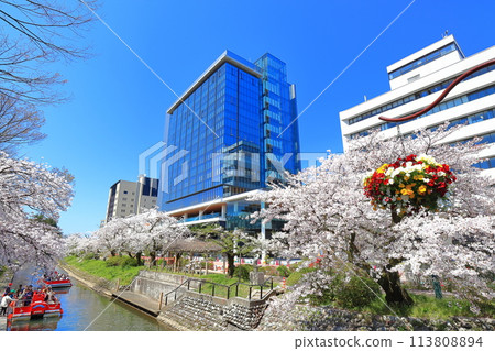 【富山縣】松川、松川遊船、櫻花盛開 【富山縣】松川、松川遊船、櫻花盛開 113808894