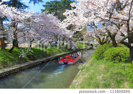 【富山縣】松川、松川遊船、櫻花盛開 113808899