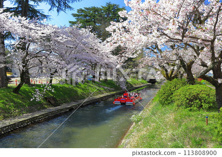 [Toyama Prefecture] Matsukawa River banks, Matsukawa sightseeing boats and cherry blossoms in full bloom 113808900