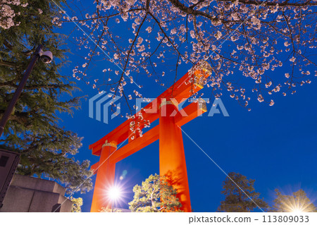 京都平安神宮的大鳥居與夜晚的櫻花 113809033