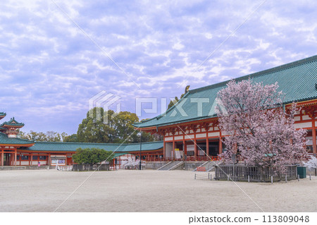 Heian Shrine: The outer worship hall and the Sakonno cherry blossoms in full bloom 113809048