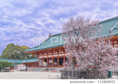Heian Shrine: The outer worship hall and the Sakonno cherry blossoms in full bloom 113809052