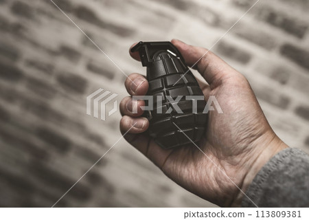 Man with a grenade 113809381