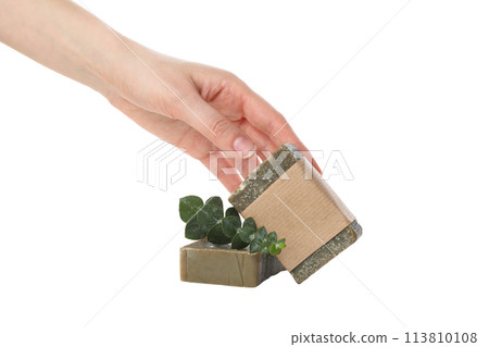 PNG handmade soap with eucalyptus isolated on white background. 113810108
