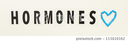 The word hormones on a light background. The word hormones on a light background. 113810162